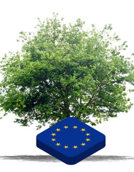 plant-tree-eu