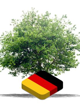 plant-tree-germany