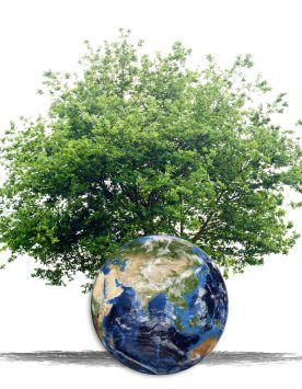 plant-tree-worldwide-2