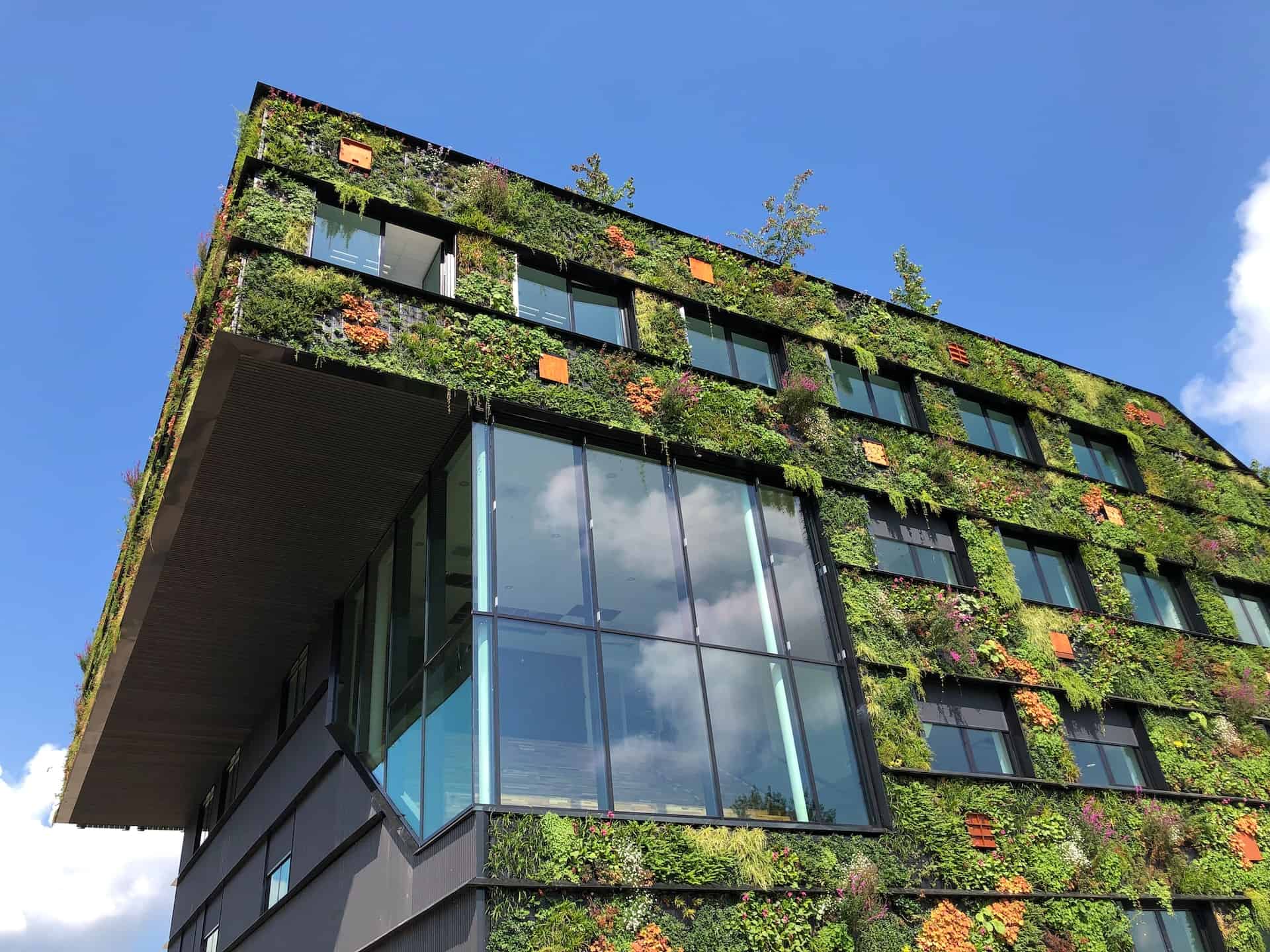 Entdecken Sie, wie moderne Gebäude durch nachhaltiges Bauen zum Klimaschutz beitragen können.