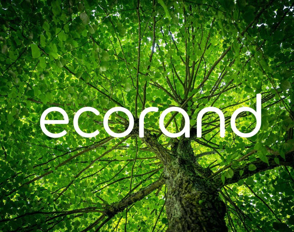 ecorand-co2-fighter-token-crypto-tree-reforestation-imprint